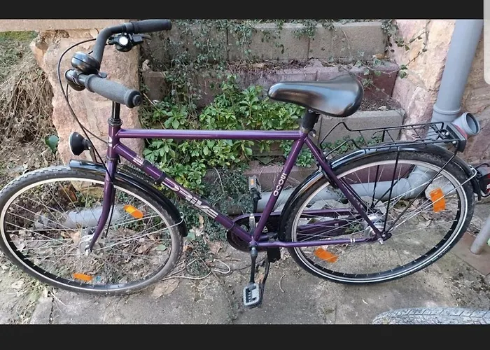 Am Schloss Appartement *